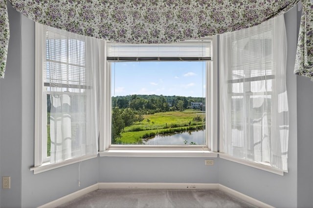 81 Hambletonian Rd, Chester, NY 10918 - unfurnished dining area with carpet floors and a water view