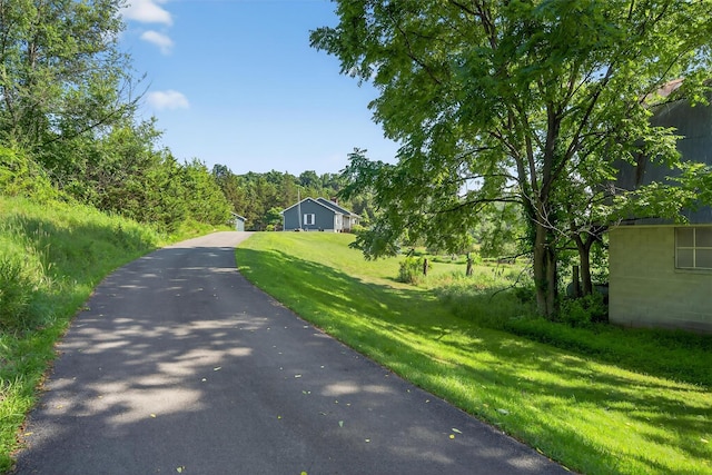 81 Hambletonian Rd, Chester, NY 10918 - view of asphalt driveway