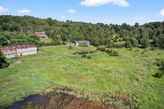 81 Hambletonian Rd, Chester, NY 10918 - aerial view of property and surrounding area with a forest