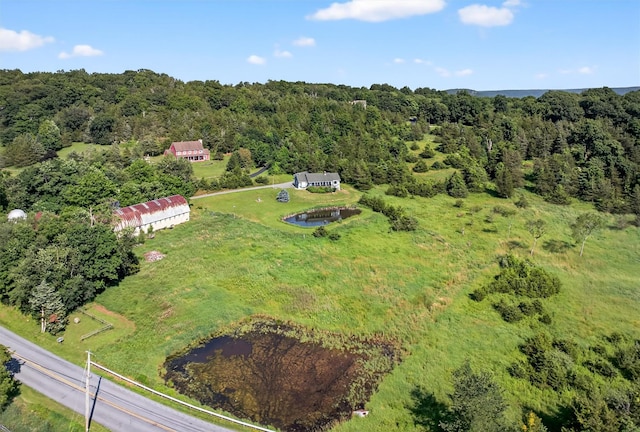 81 Hambletonian Rd, Chester, NY 10918 - aerial view of property's location featuring a heavily wooded area and a nearby body of water
