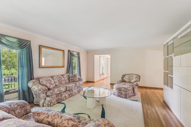 4 Springview Ct, East Patchogue, NY 11772 - living room with ornamental molding and light wood finished floors