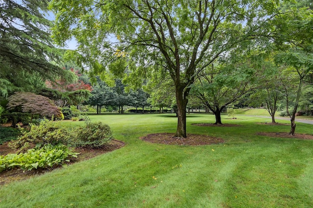 60 Piping Rock Rd, Upper Brookville, NY 11545 - photo 36