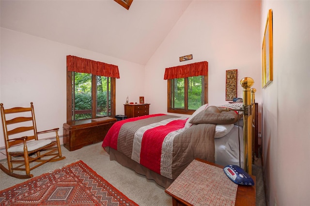110 Read Rd, Red Hook, NY 12571 - bedroom featuring high vaulted ceiling, carpet flooring, and a baseboard radiator
