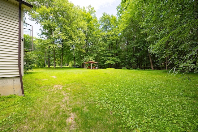 110 Read Rd, Red Hook, NY 12571 - view of green lawn with a gazebo