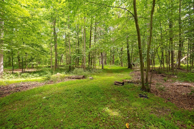 110 Read Rd, Red Hook, NY 12571 - view of yard featuring a forest view