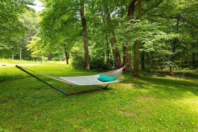110 Read Rd, Red Hook, NY 12571 - view of green lawn