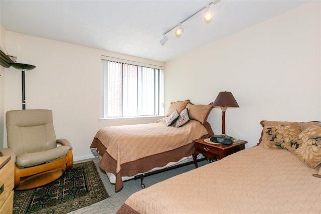 10 Canterbury Rd Apt 2G, Great Neck, NY 11021 - carpeted bedroom with rail lighting and baseboards