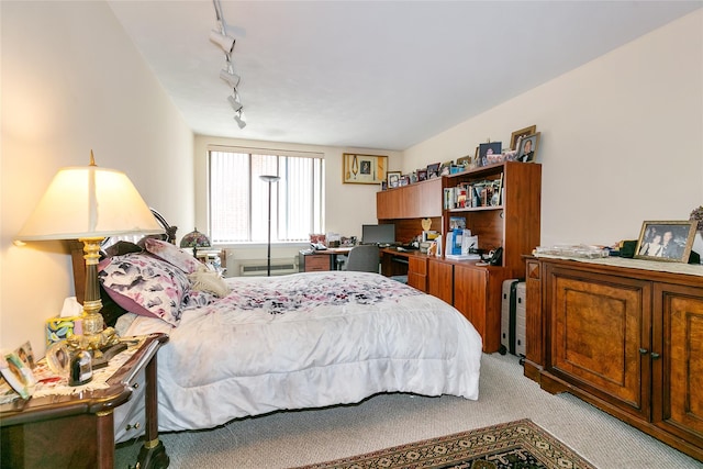 10 Canterbury Rd Apt 2G, Great Neck, NY 11021 - bedroom featuring track lighting and light colored carpet