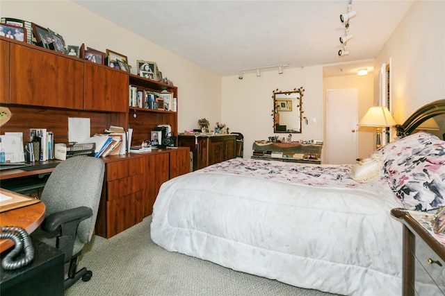 10 Canterbury Rd Apt 2G, Great Neck, NY 11021 - carpeted bedroom featuring rail lighting and a desk