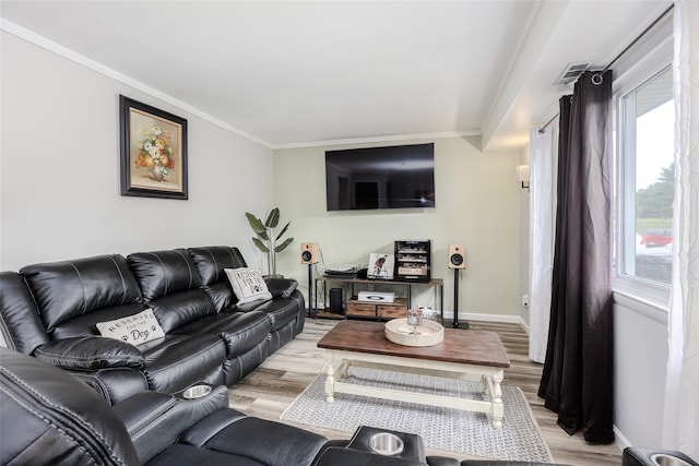 95 Pointe Cir S Unit 95, Coram, NY 11727 - living area featuring light wood finished floors, crown molding, and plenty of natural light