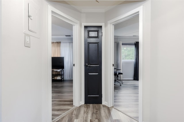 95 Pointe Cir S Unit 95, Coram, NY 11727 - hall featuring wood finished floors and ornamental molding