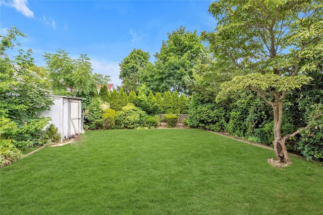 68 Moore St, New Hyde Park, NY 11040 - view of green lawn with a storage shed