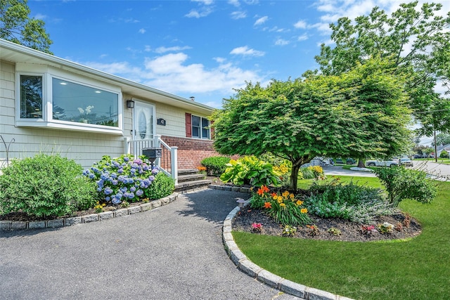 41 W 21st St, Deer Park, NY 11729 - view of exterior entry featuring a lawn and brick siding
