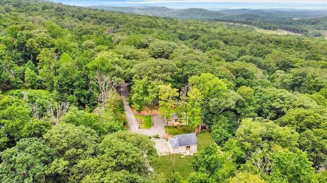 8 Pioneer Trl, Monroe, NY 10950 - aerial view of a heavily wooded area
