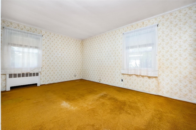245 E Seaman Ave, Freeport, NY 11520 - carpeted empty room with radiator, healthy amount of natural light, and ornamental molding