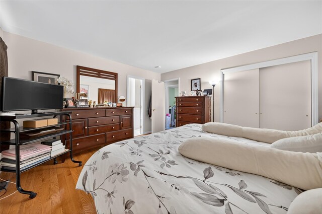 3 Stanford Dr, Highland Mills, NY 10930 - bedroom featuring a closet and wood finished floors