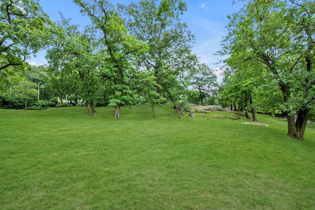 4705 Henry Hudson Pkwy W Unit 1J, Bronx, NY 10471 - view of grassy yard