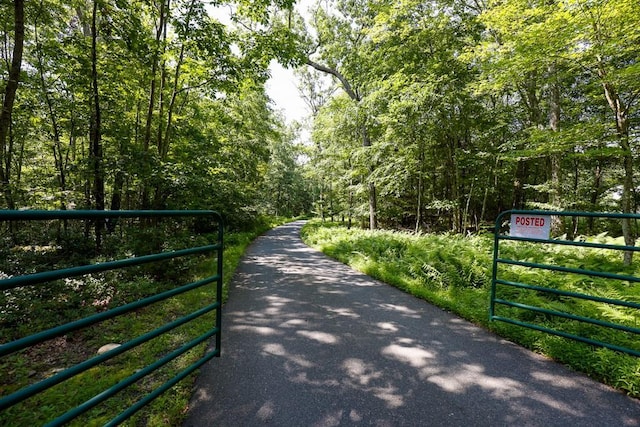 101 W Peenpack Trl, Sparrowbush, NY 12780 - view of street featuring a wooded view and a gated entry