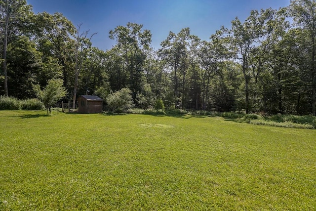 101 W Peenpack Trl, Sparrowbush, NY 12780 - view of grassy yard featuring a storage unit