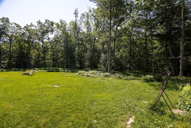 101 W Peenpack Trl, Sparrowbush, NY 12780 - view of green lawn with a wooded view