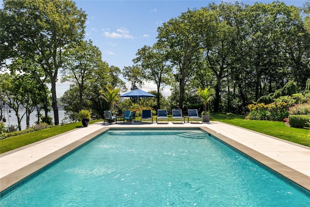 12 N Rd, Laurel Hollow, NY 11771 - swimming pool featuring a lawn and a patio