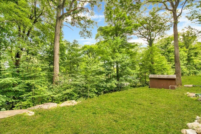 10 Pioneer Trl, Monroe, NY 10950 - view of grassy yard with a shed