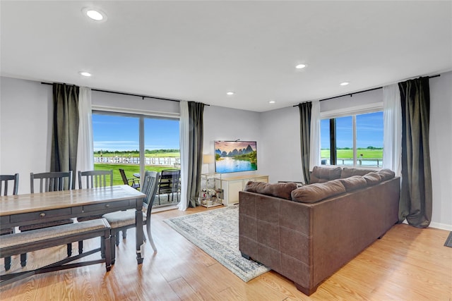 1 Anchorage Way Unit 301, Freeport, NY 11520 - living room with healthy amount of natural light, light wood-type flooring, and recessed lighting
