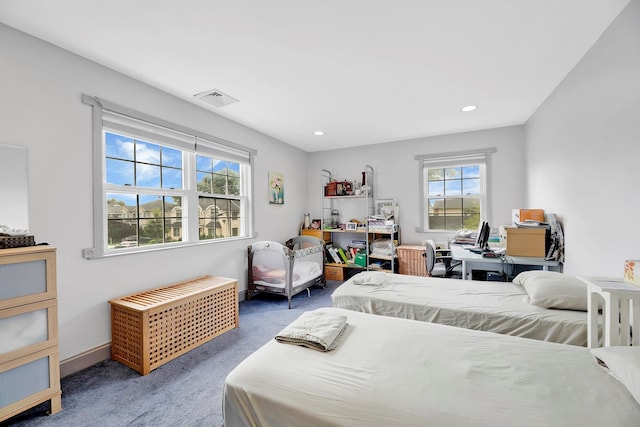 97 Burnham Ave, Roslyn Heights, NY 11577 - bedroom featuring carpet and recessed lighting