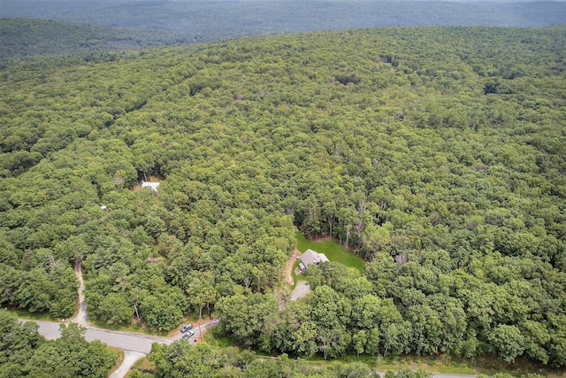 107 Maple Ln, Narrowsburg, NY 12764 - photo 43