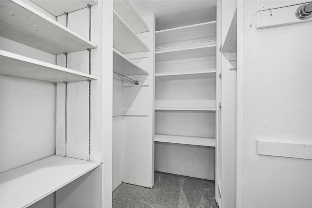 115 Dehaven Dr Unit 214, Yonkers, NY 10703 - walk in closet featuring carpet flooring