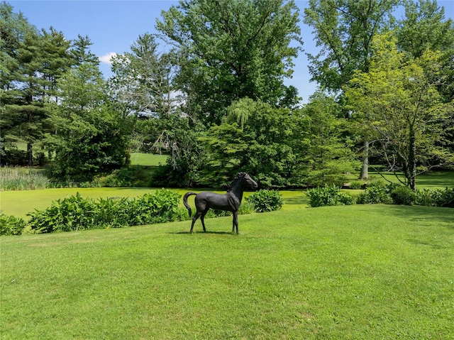 102 Horseshoe Rd, Mill Neck, NY 11765 - photo 48