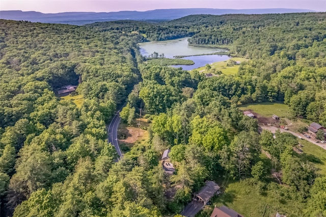 571-575 County Route 2, Accord, NY 12404 - photo 4