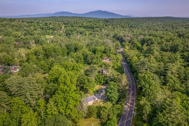 571-575 County Route 2, Accord, NY 12404 - photo 33