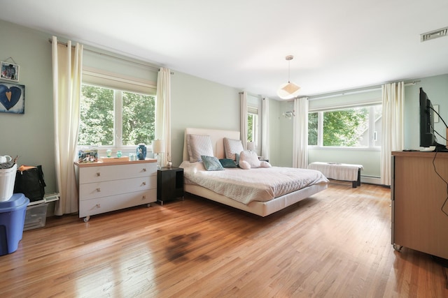 70 Hickory St, Blauvelt, NY 10913 - bedroom with multiple windows, light wood-style floors, radiator heating unit, and a baseboard heating unit