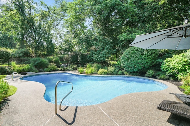 70 Hickory St, Blauvelt, NY 10913 - swimming pool with view of wooded area and a patio area