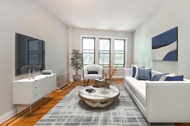 1110 Caton Ave Unit 5C, Brooklyn, NY 11218 - living room with radiator heating unit and wood finished floors