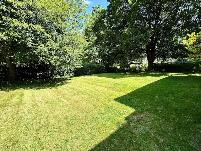55 Red Mill Rd, Cortlandt Manor, NY 10567 - view of green lawn