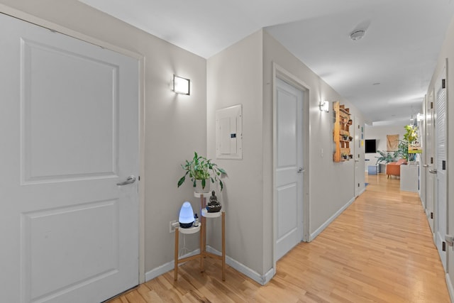 853 Macy Pl Unit 8E, Bronx, NY 10455 - photo 14
