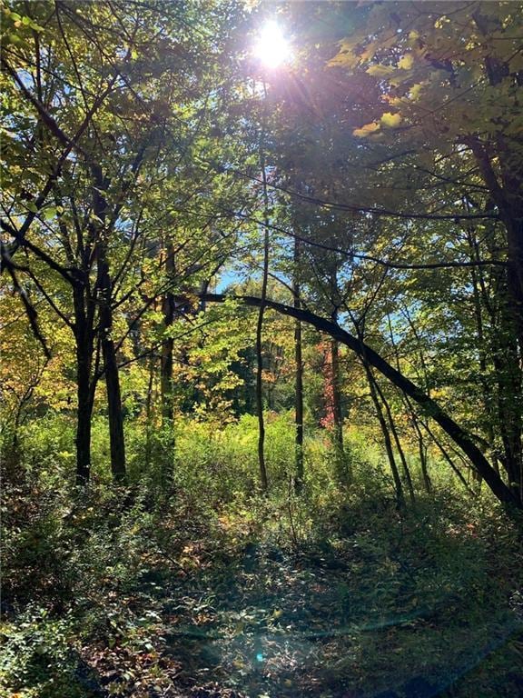 LOTS3-4 Granite Rd, Accord, NY 12404