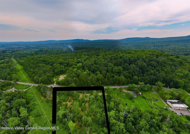 LOTS3-4 Granite Rd, Accord, NY 12404