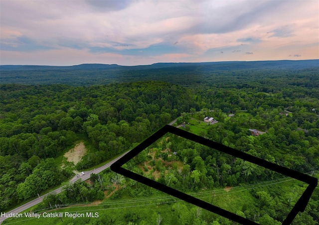 LOTS3-4 Granite Rd, Accord, NY 12404