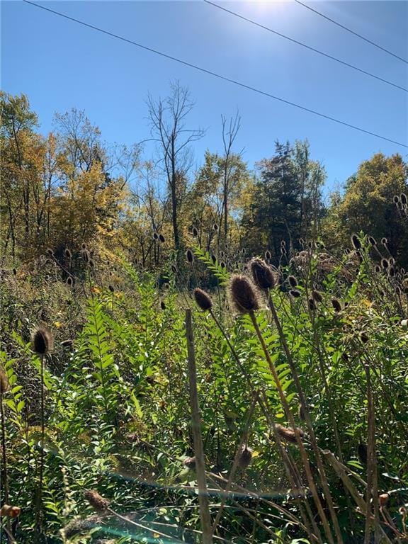 LOTS3-4 Granite Rd, Accord, NY 12404