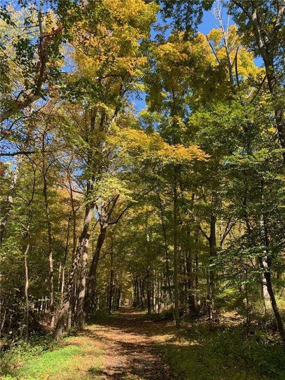 LOTS3-4 Granite Rd, Accord, NY 12404