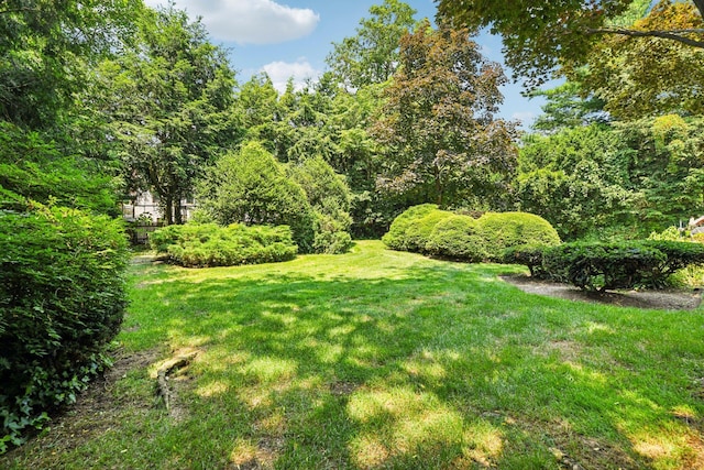 21 Orchard Dr, East Williston, NY 11596 - view of green lawn