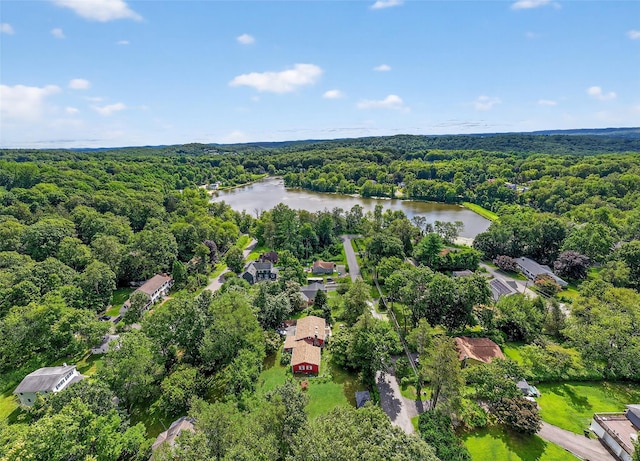 10 Nymph Dr, Mahopac, NY 10541 - photo 7