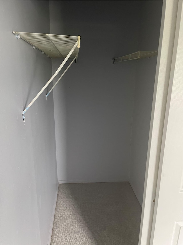 38 Sheffield Dr, Middletown, NY 10940 - walk in closet with carpet floors