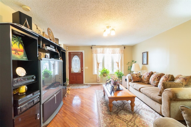 659 Snediker Ave, Brooklyn, NY 11207 - photo 3