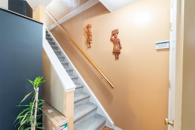 659 Snediker Ave, Brooklyn, NY 11207 - photo 13