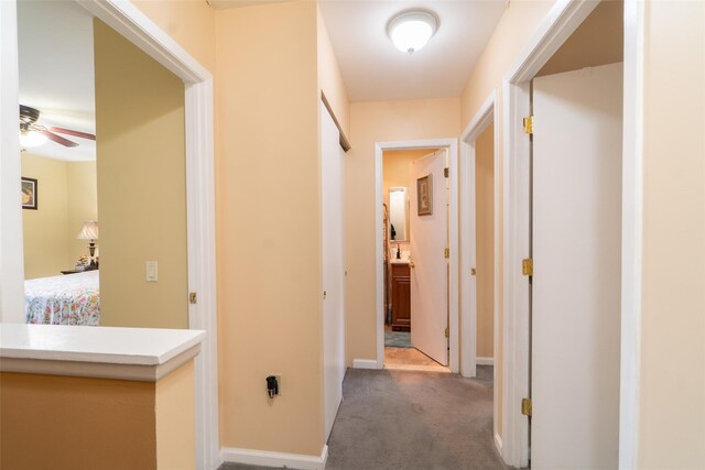 659 Snediker Ave, Brooklyn, NY 11207 - photo 14