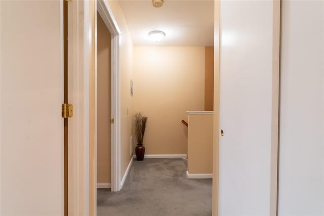 659 Snediker Ave, Brooklyn, NY 11207 - photo 18